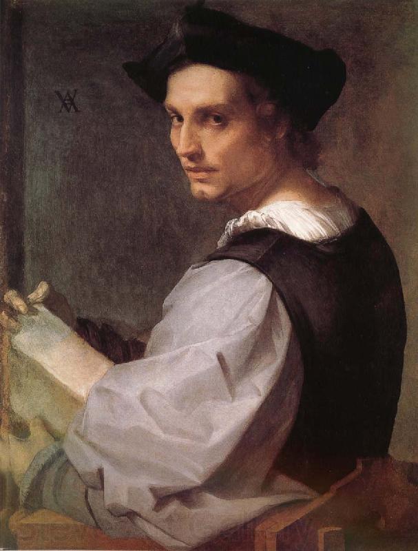 Andrea del Sarto Portrait of man